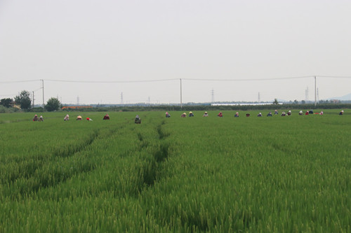 /gb2312/qishiyegonghui/12858.html